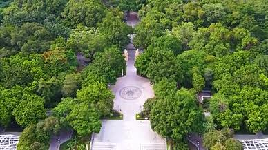 广州市中心人民公园城市森林休闲区氧吧视频的预览图
